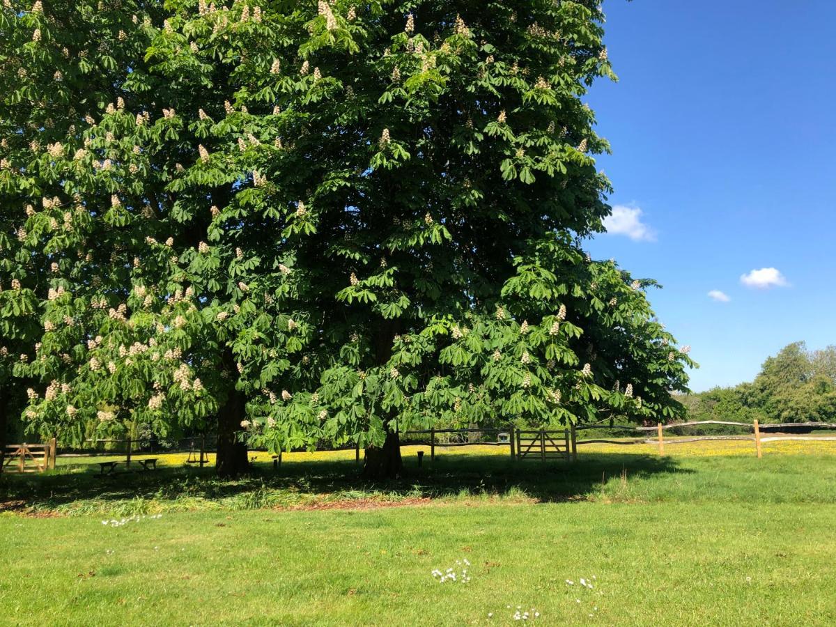 Ryefield Cottage - Luxurious Self-Catered Holiday Cottage With A Log Burner Chichester Extérieur photo