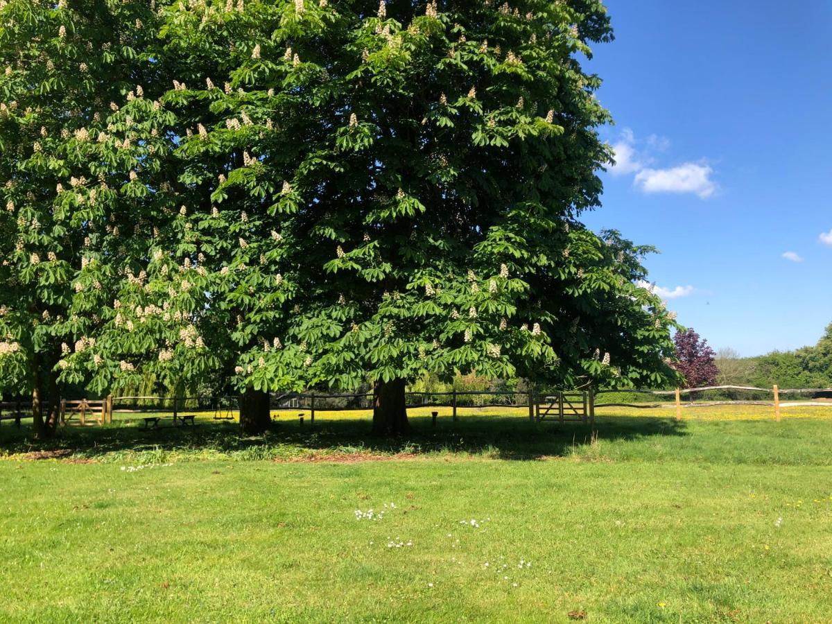 Ryefield Cottage - Luxurious Self-Catered Holiday Cottage With A Log Burner Chichester Extérieur photo