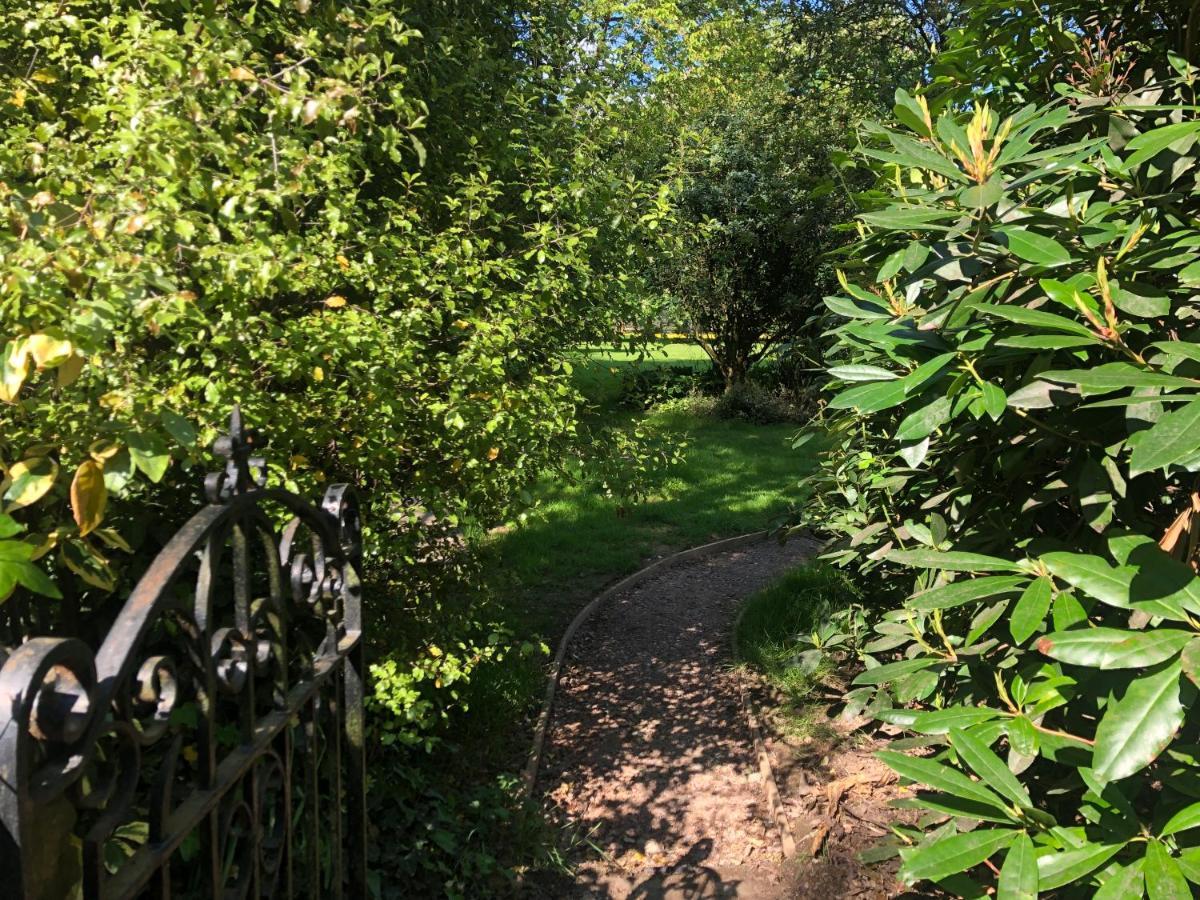 Ryefield Cottage - Luxurious Self-Catered Holiday Cottage With A Log Burner Chichester Extérieur photo